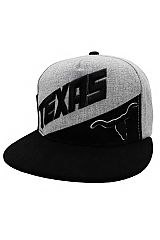 TEXAS Slanted Logo Long Horn Embroidered Two Tone Six Panel Cotton Snap Back