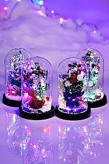 Christmas Glass Dome LED Light Stand Lamp