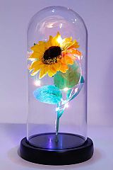 Artificial Sunflower Glass Dome LED Light Stand